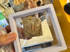 -房山世界地质公园博物馆