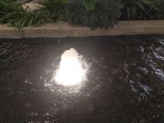 -阿三生煎(正弘城店)