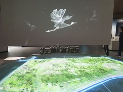 -中国湿地博物馆