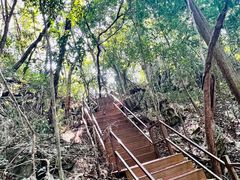 -中国科学院西双版纳热带植物园