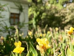 -叶家花园