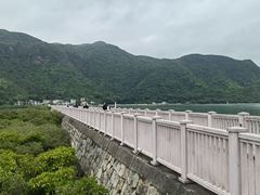 -大澳