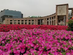 -泉城广场