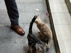 -重庆麻辣烫(国权路店)