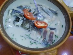 -全乐鱼馆·淳牌有机鱼直营店