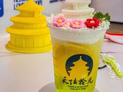 -天坛公园