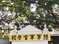-长洲岛