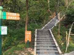 -田心森林公园