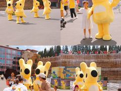 -贵州森林野生动物园