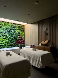 -VELEE·SPA高定疗愈会所