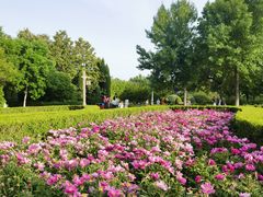 -洛阳市隋唐城遗址植物园