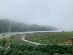 -广州市石门国家森林公园