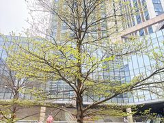 -IPARK购物中心