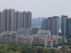 -福道