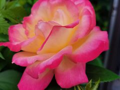 -瓦舍茶馆(聚源路店)