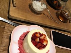 -柴务处·柴犬主题狗咖