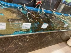 -渡海小渔村.老辈日照菜