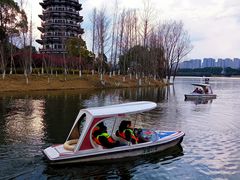 -洋湖国家湿地公园