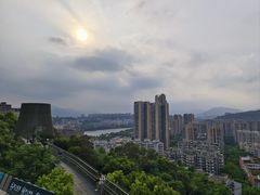 -福道