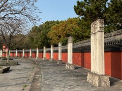 -观潮胜地公园