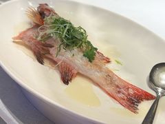 -金悦轩海鲜城(渔人码头店)