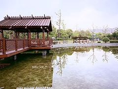 -浦鸿会游泳健身中心·Ambassy Club PD(金桥碧云国际社区店)