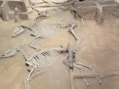 -洛阳周王城天子驾六博物馆