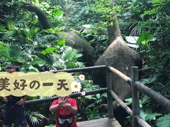 -青青世界