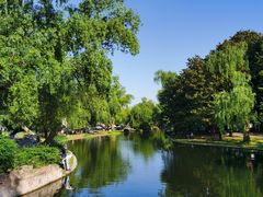 -上海共青森林公园