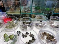 -万商花鸟市场