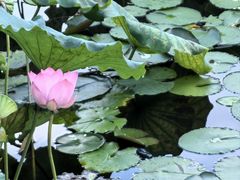 -烈士陵园(地铁站)