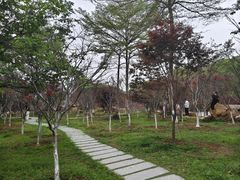 -广州市帽峰山景区