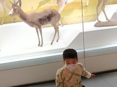 -陕西自然博物馆