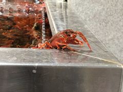 -盒马鲜生(红莲店)