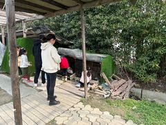-小鱼草莓采摘园农家乐·小鱼餐厅