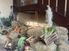 -大龙燚·旷野鲜火锅(广州首店)