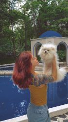 -showcase·形象沙龙