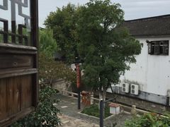 -普洱茶府(博乐广场店)