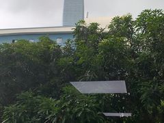 -长富金茂大厦