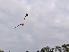 -东莞市科学技术博物馆