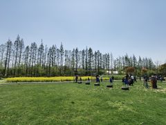 -前小桔亲子创意农场·草莓采摘·露营烧烤