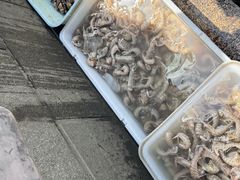-沈家门渔港