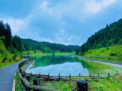 -武陵山森林公园