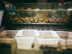 -喜庭海鲜自助(北辰三角洲北辰荟店)