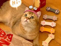 -麦当劳(江滨北路得来速餐厅)