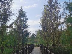 -同里国家湿地公园