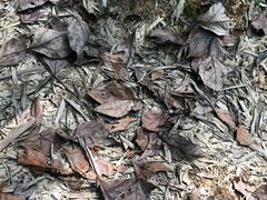 -桐君山春江扬帆码头