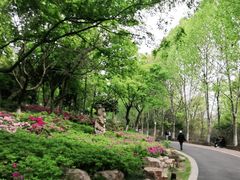 -合肥野生动物园