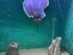 -常州海昌海洋探索馆