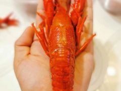 -虎虎龙虾大排档(双井店)